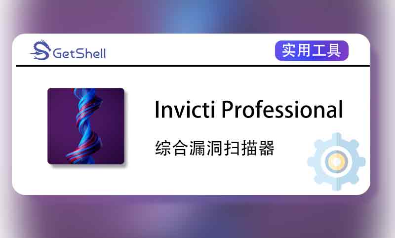 【漏洞扫描】Invicti Professional v24.2 高级版 - 极核GetShell