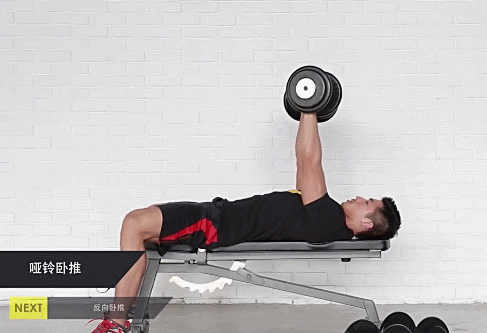哑铃平板卧推-1