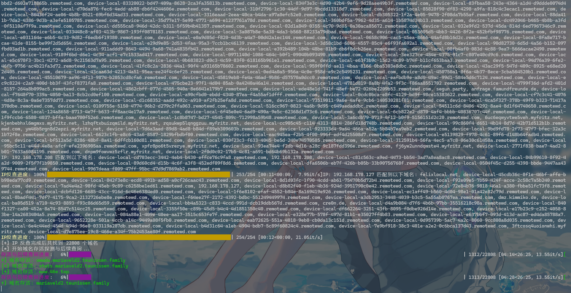 Ultimate IP/Domain Processor - 极核GetShell