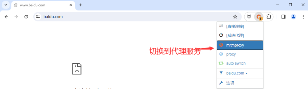 管理代理-浏览器插件 - 极核GetShell